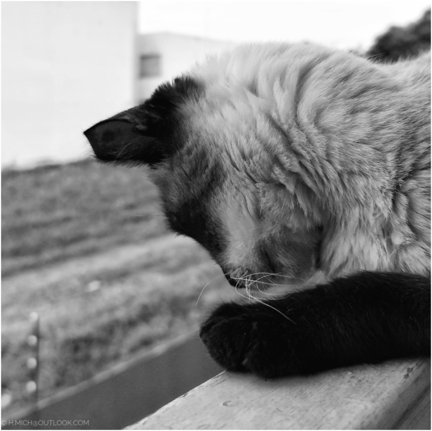 Studio-One.Art.br Repo Fotografia em Rio Preto SP/Brasil