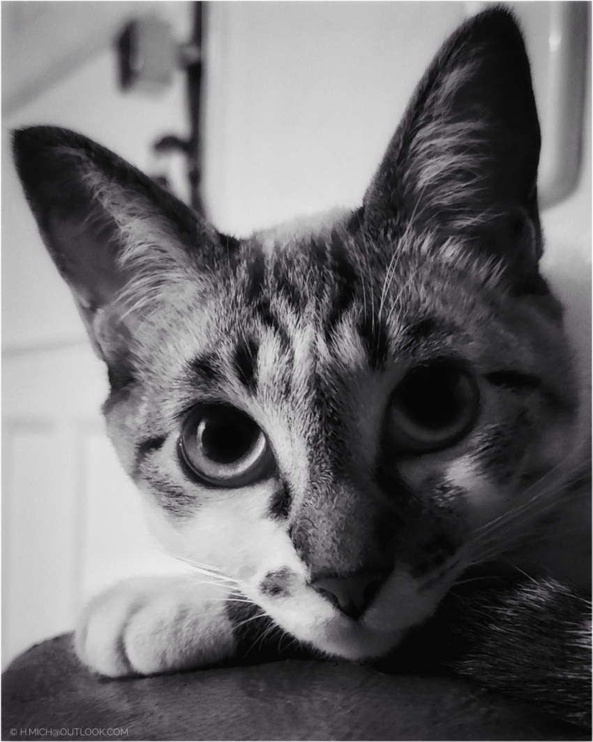 Studio-One.Art.br Repo Fotografia em Rio Preto SP/Brasil