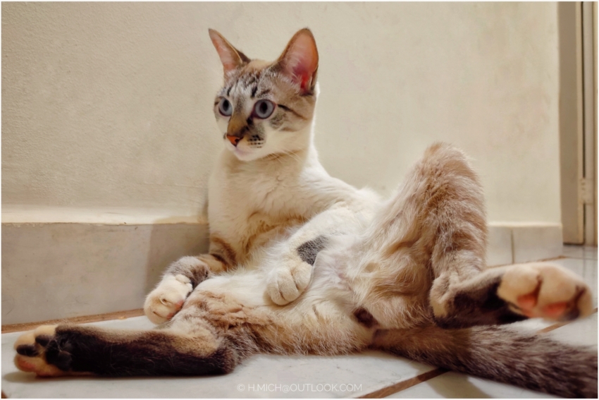 Studio-One.Art.br Repo Fotografia em Rio Preto SP/Brasil