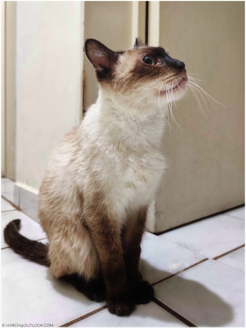 Studio-One.Art.br Repo Fotografia em Rio Preto SP/Brasil