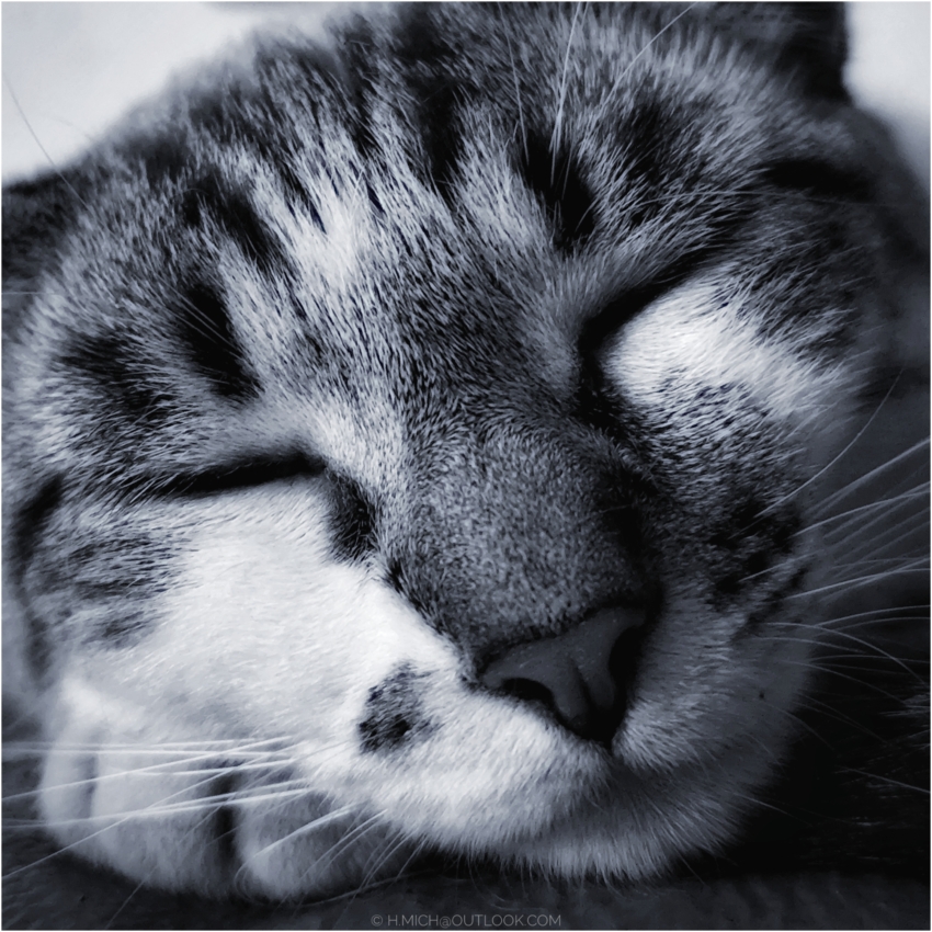 Studio-One.Art.br Repo Fotografia em Rio Preto SP/Brasil