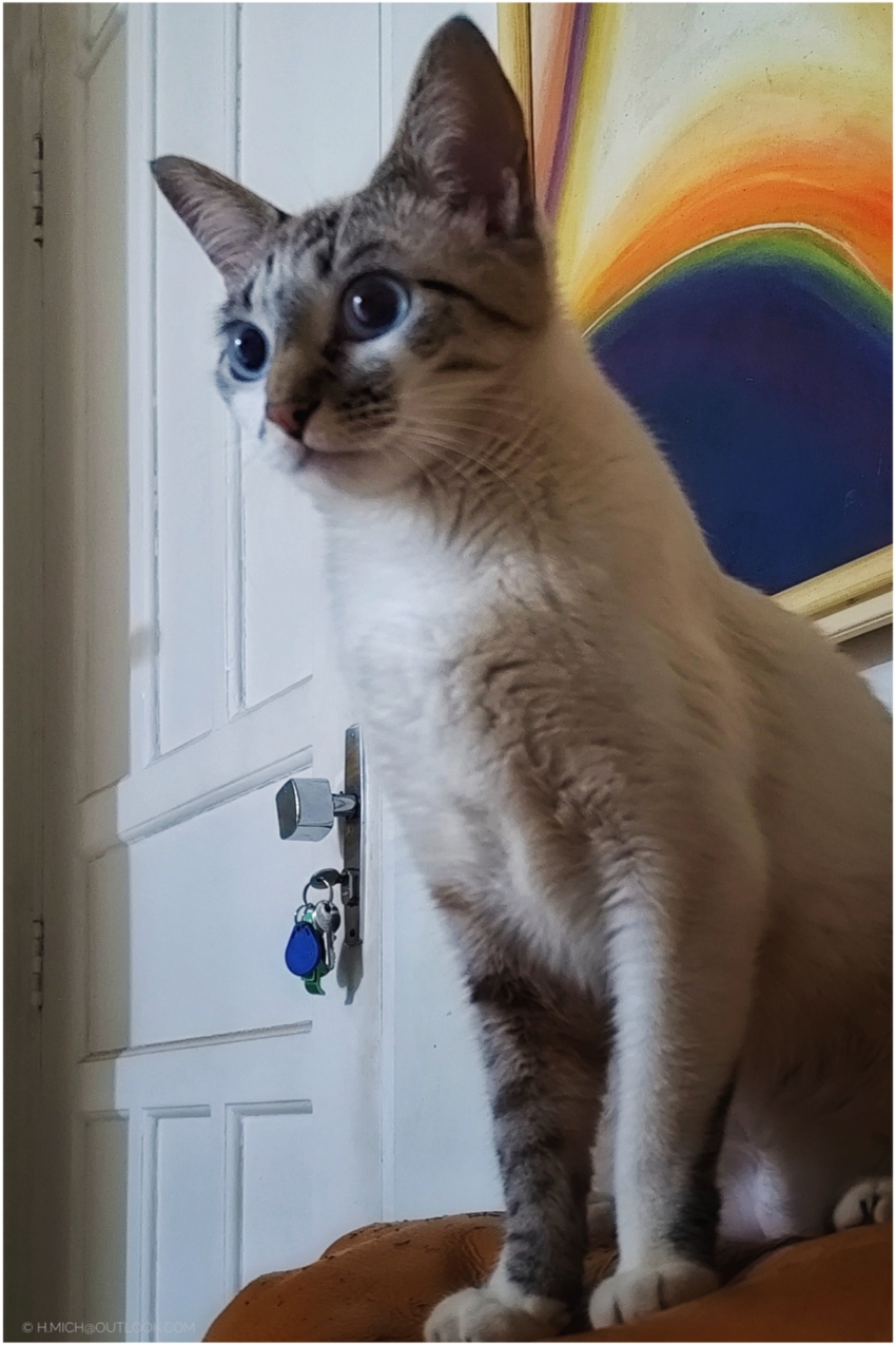 Studio-One.Art.br Repo Fotografia em Rio Preto SP/Brasil