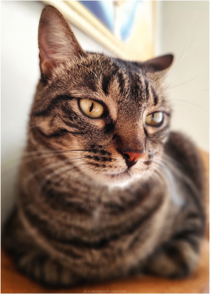 Studio-One.Art.br Repo Fotografia em Rio Preto SP/Brasil