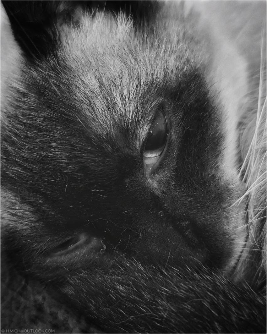 Studio-One.Art.br Repo Fotografia em Rio Preto SP/Brasil