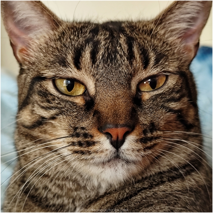 Studio-One.Art.br Repo Fotografia em Rio Preto SP/Brasil