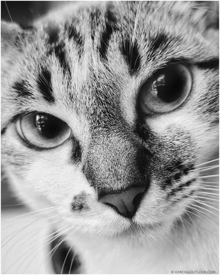 Studio-One.Art.br Repo Fotografia em Rio Preto SP/Brasil