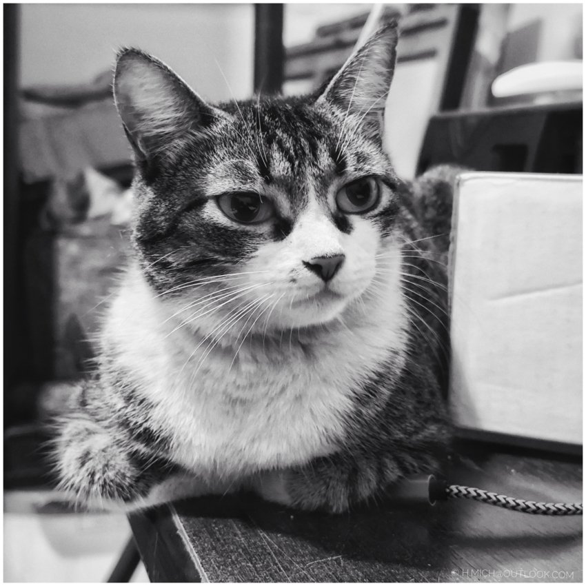 Studio-One.Art.br Repo Fotografia em Rio Preto SP/Brasil