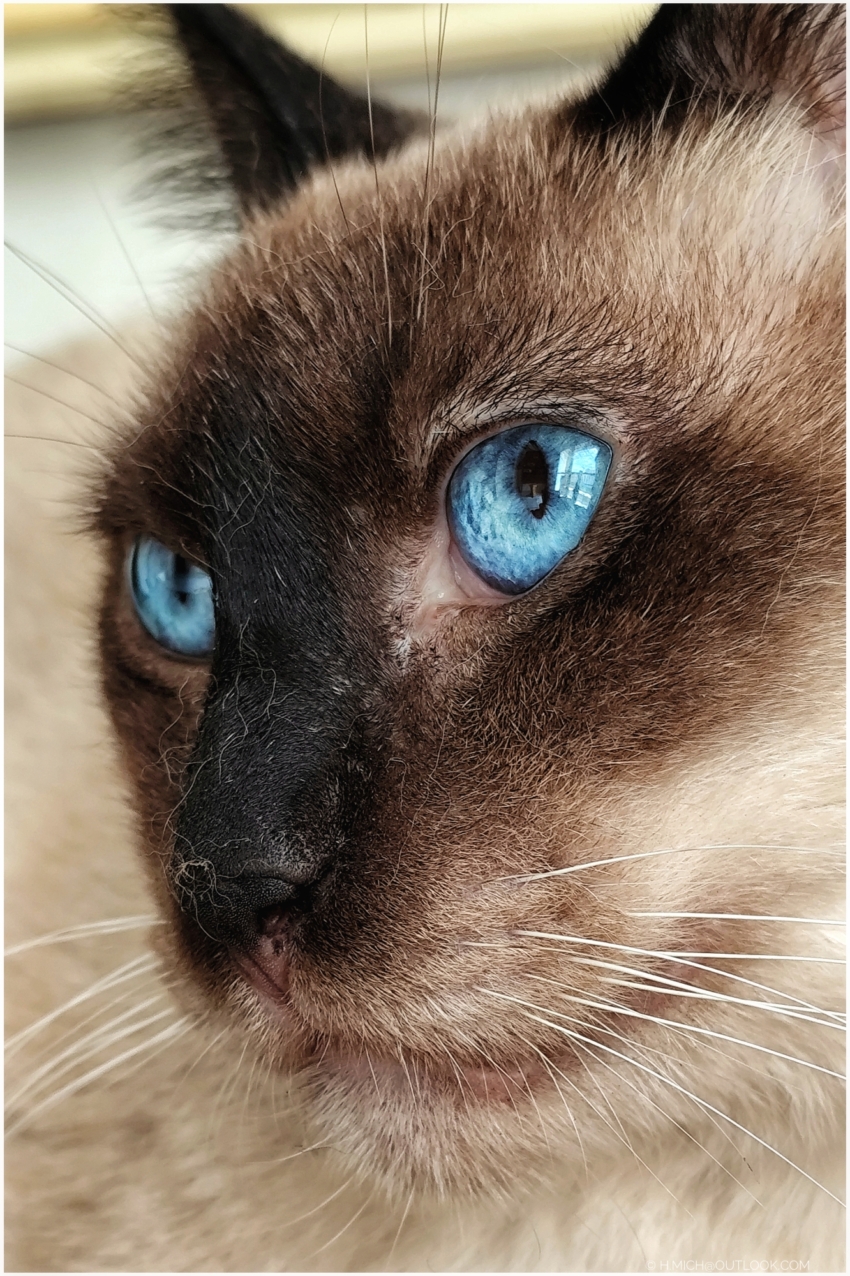 Studio-One.Art.br Repo Fotografia em Rio Preto SP/Brasil