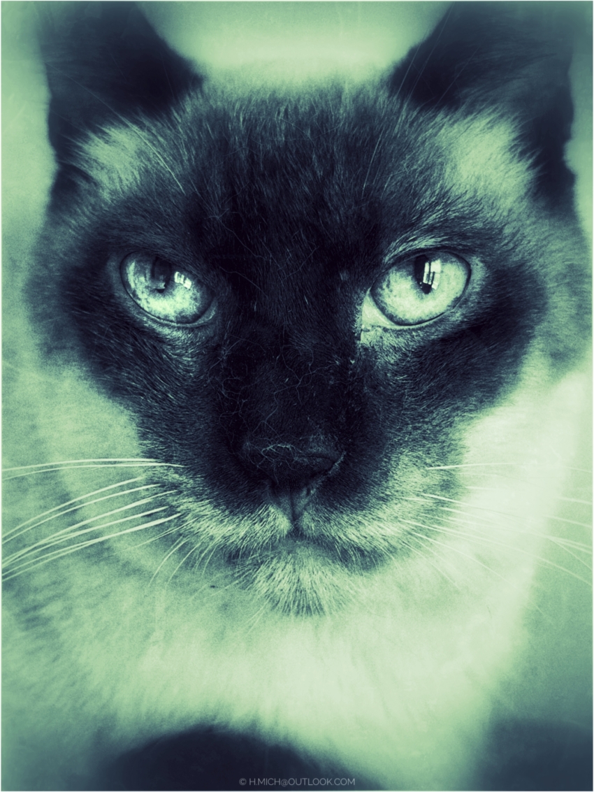 Studio-One.Art.br Repo Fotografia em Rio Preto SP/Brasil