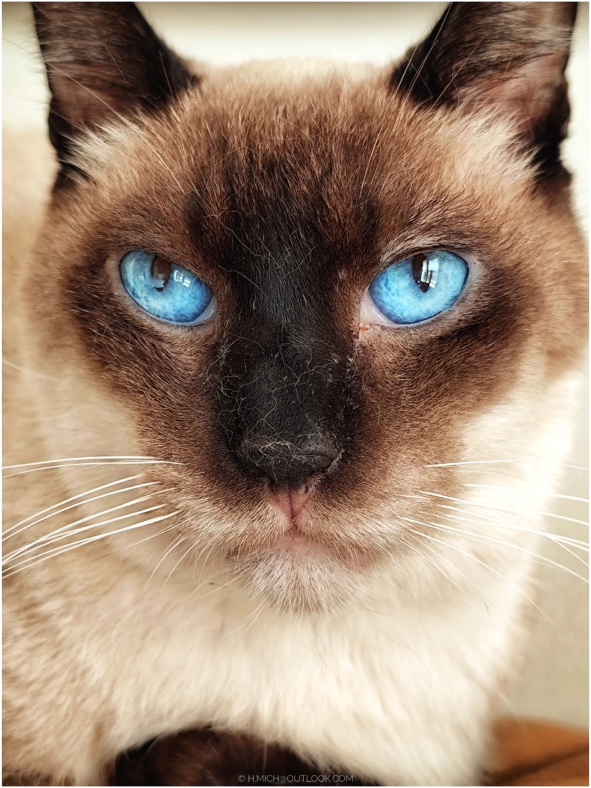 Studio-One.Art.br Repo Fotografia em Rio Preto SP/Brasil