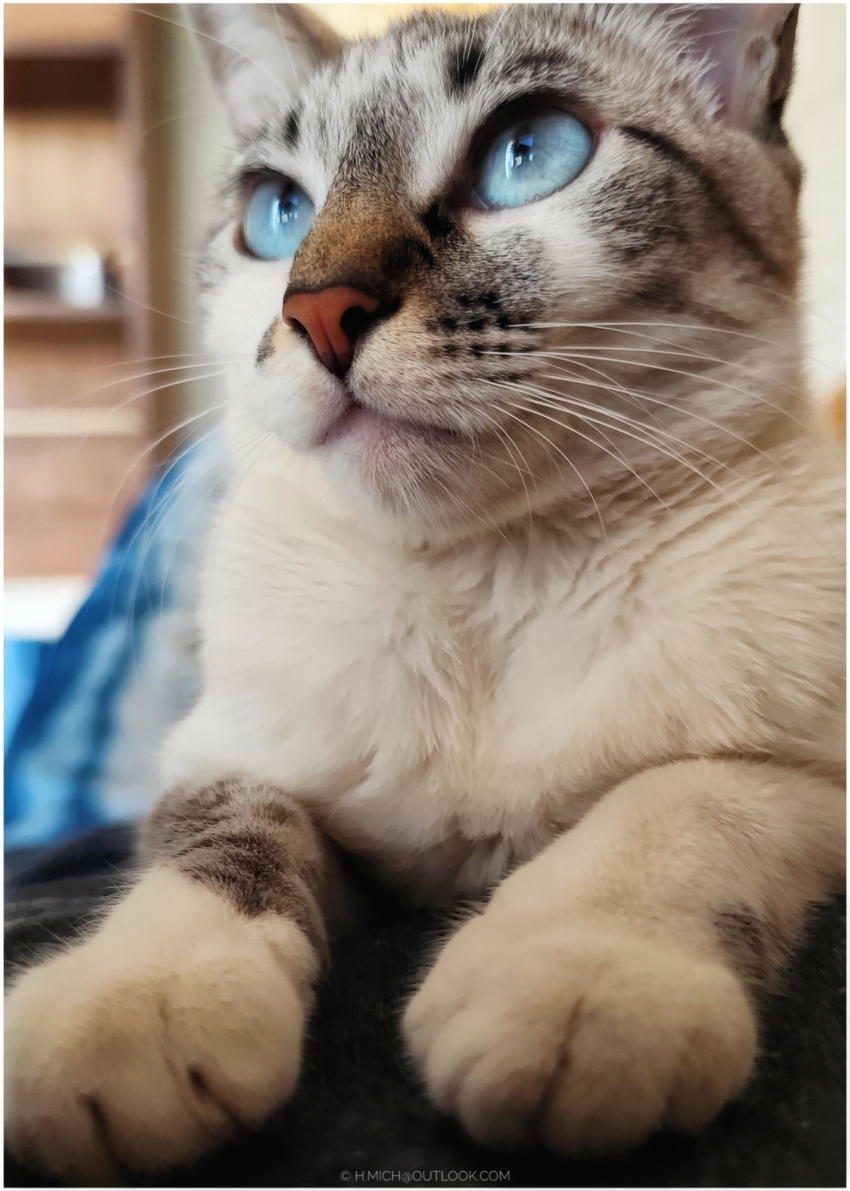 Studio-One.Art.br Repo Fotografia em Rio Preto SP/Brasil