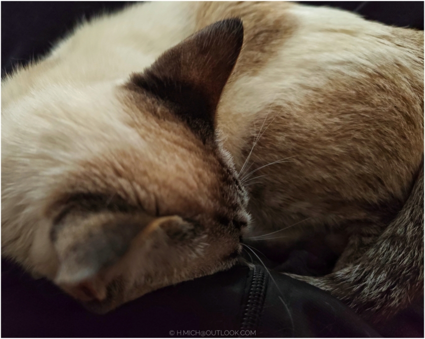 Studio-One.Art.br Repo Fotografia em Rio Preto SP/Brasil