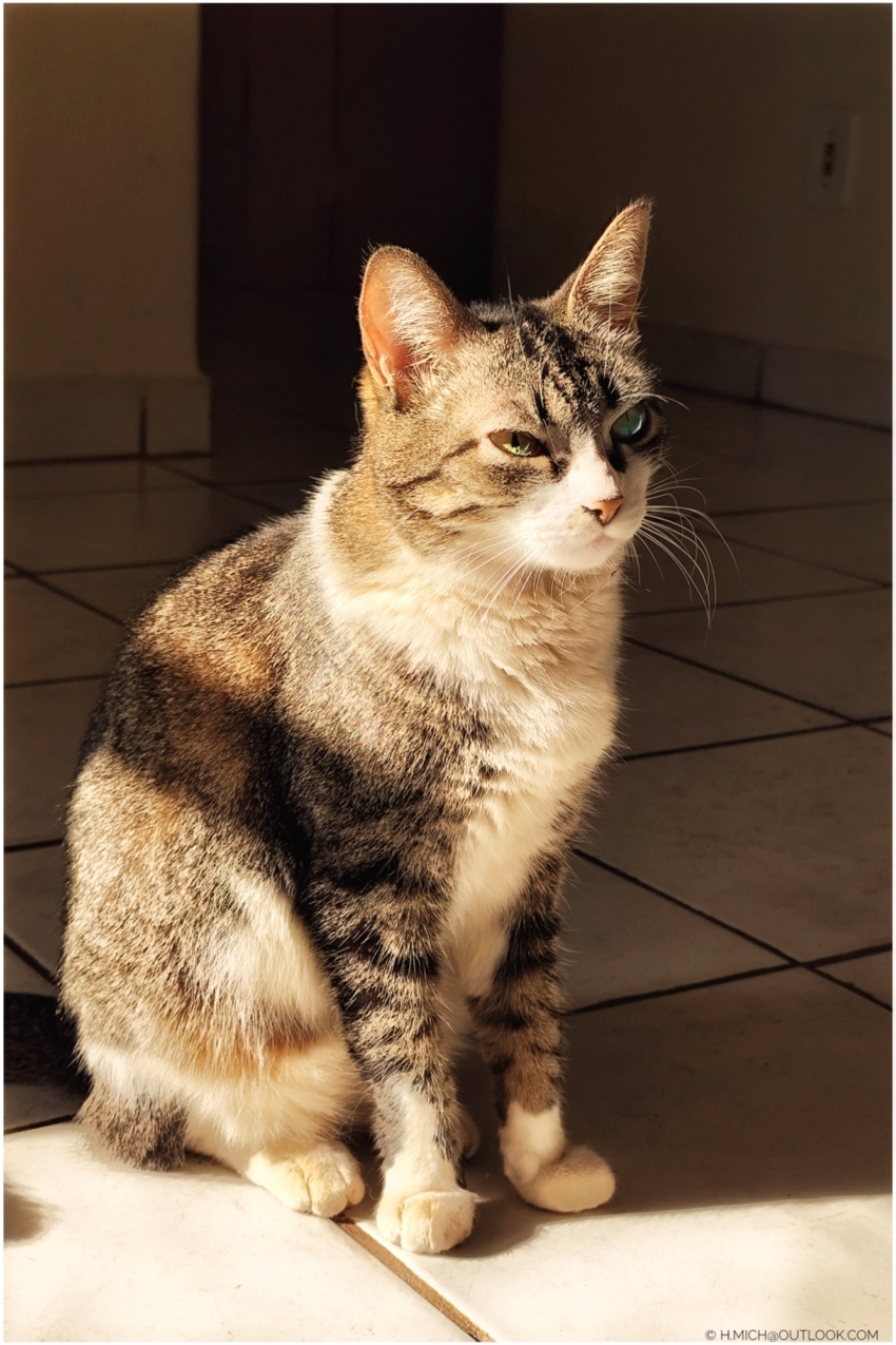 Studio-One.Art.br Repo Fotografia em Rio Preto SP/Brasil