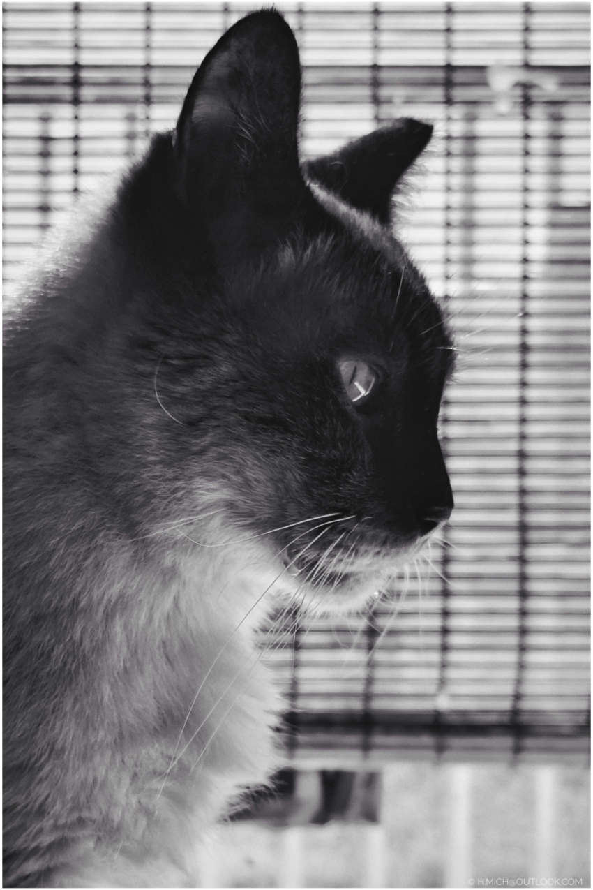 Studio-One.Art.br Repo Fotografia em Rio Preto SP/Brasil