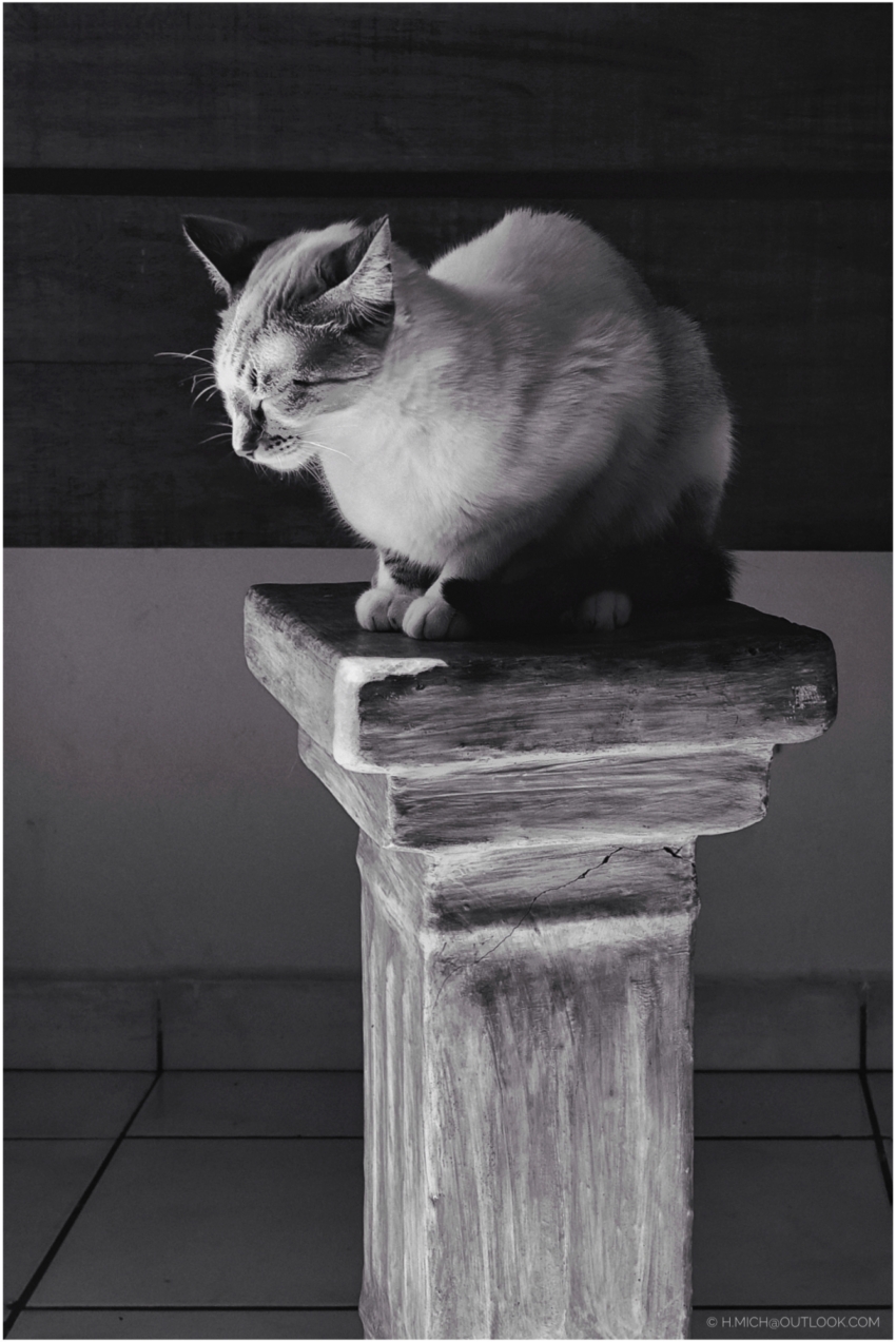 Studio-One.Art.br Repo Fotografia em Rio Preto SP/Brasil