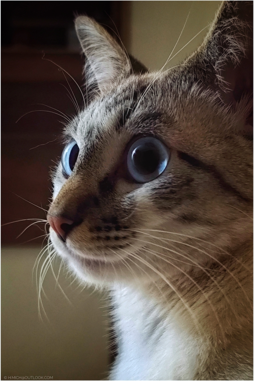 Studio-One.Art.br Repo Fotografia em Rio Preto SP/Brasil