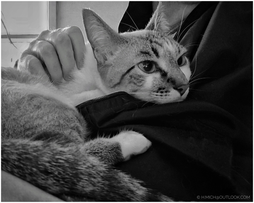 Studio-One.Art.br Repo Fotografia em Rio Preto SP/Brasil