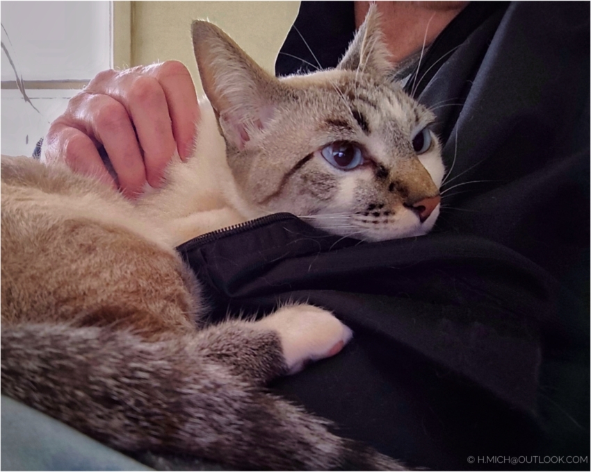 Studio-One.Art.br Repo Fotografia em Rio Preto SP/Brasil