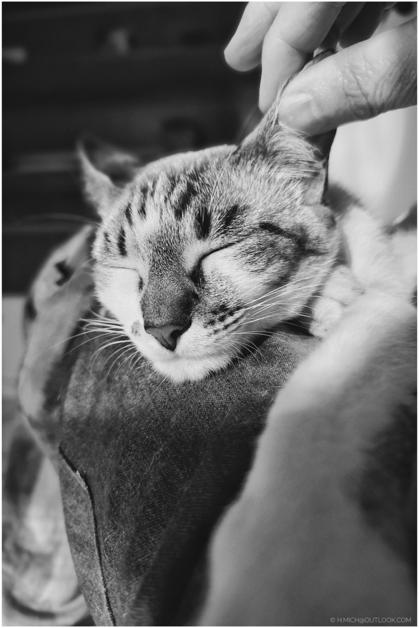 Studio-One.Art.br Repo Fotografia em Rio Preto SP/Brasil