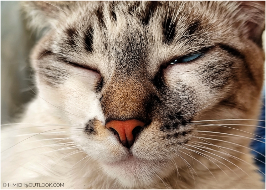 Studio-One.Art.br Repo Fotografia em Rio Preto SP/Brasil