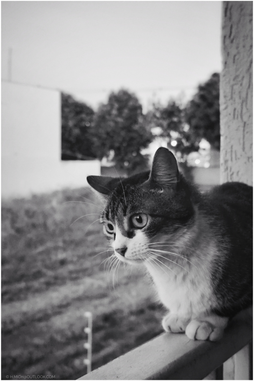 Studio-One.Art.br Repo Fotografia em Rio Preto SP/Brasil