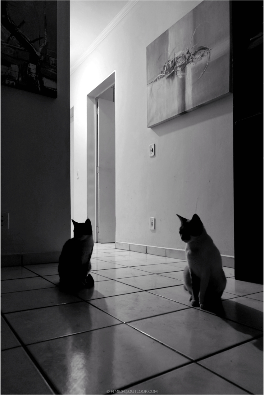 Studio-One.Art.br Repo Fotografia em Rio Preto SP/Brasil