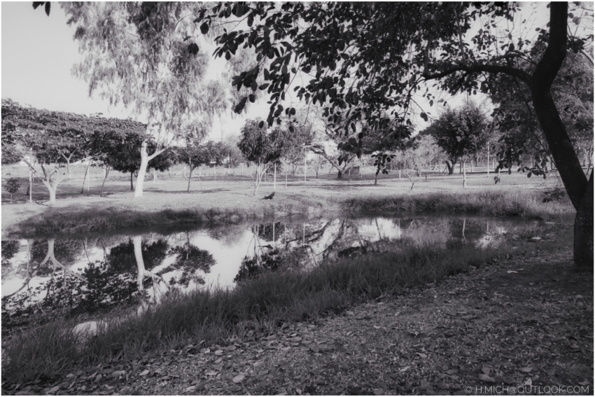 Studio-One.Art.br Repo Fotografia em Rio Preto SP/Brasil