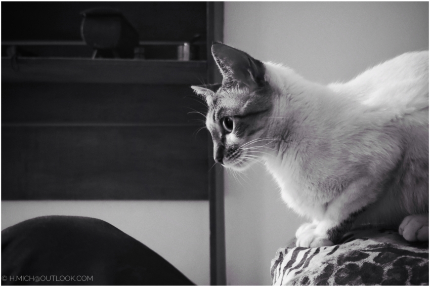 Studio-One.Art.br Repo Fotografia em Rio Preto SP/Brasil