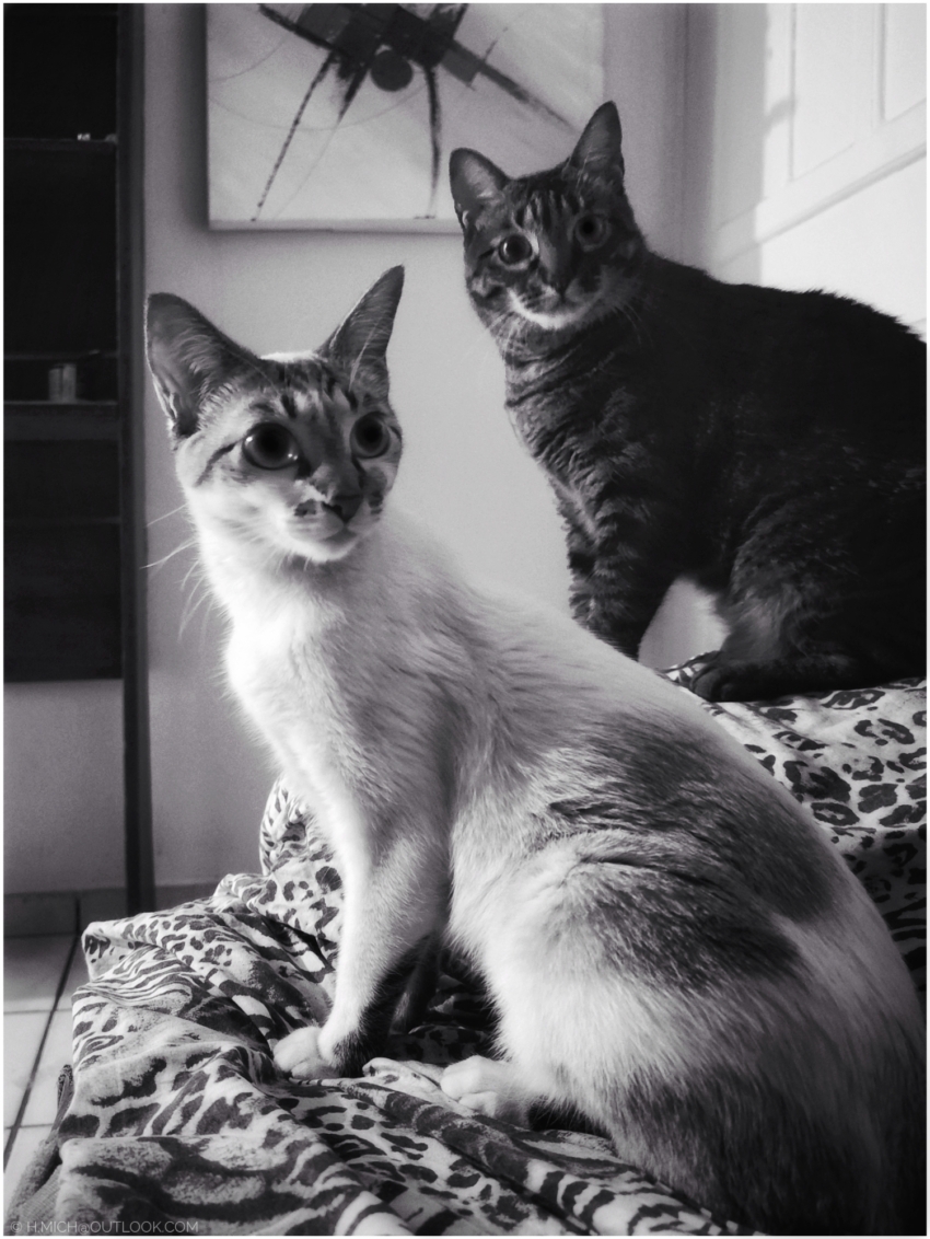 Studio-One.Art.br Repo Fotografia em Rio Preto SP/Brasil