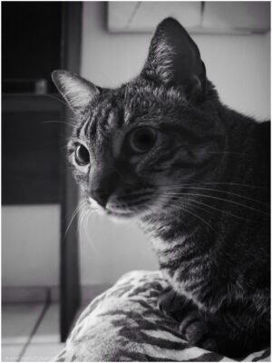 Img 20240831 011323