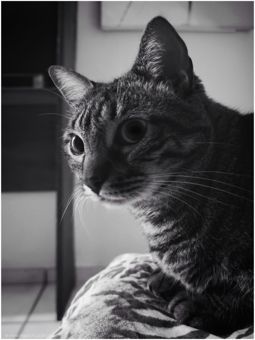 Studio-One.Art.br Repo Fotografia em Rio Preto SP/Brasil