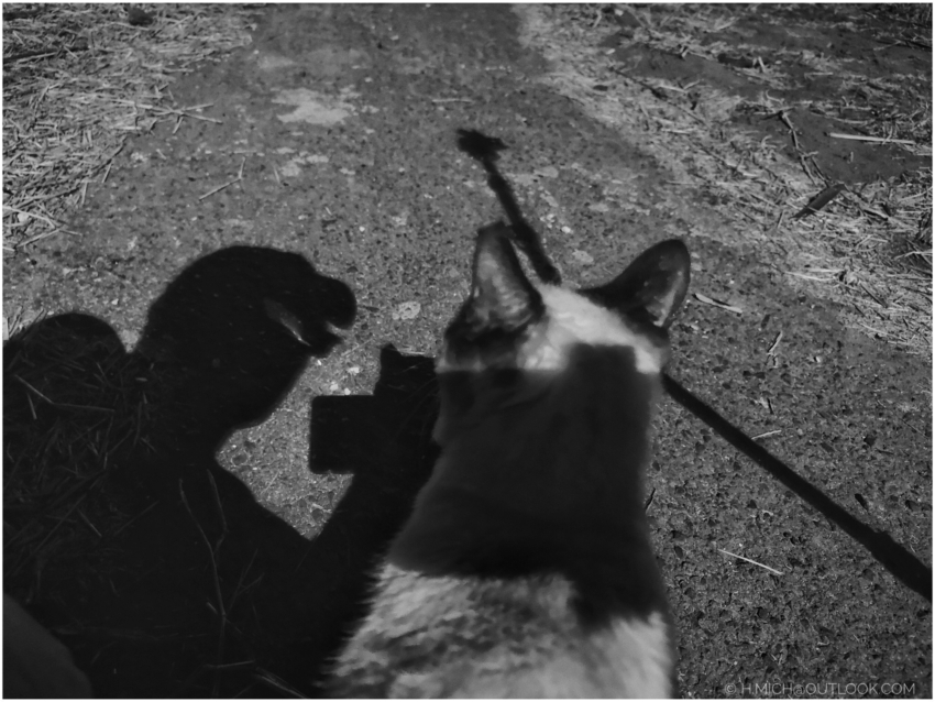 Studio-One.Art.br Repo Fotografia em Rio Preto SP/Brasil