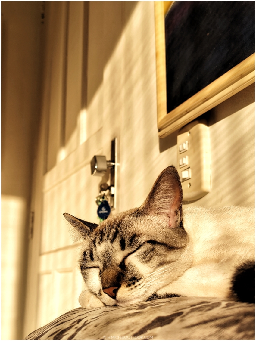 Studio-One.Art.br Repo Fotografia em Rio Preto SP/Brasil