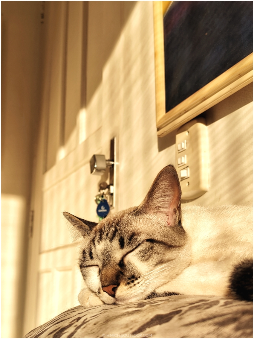 Studio-One.Art.br Repo Fotografia em Rio Preto SP/Brasil