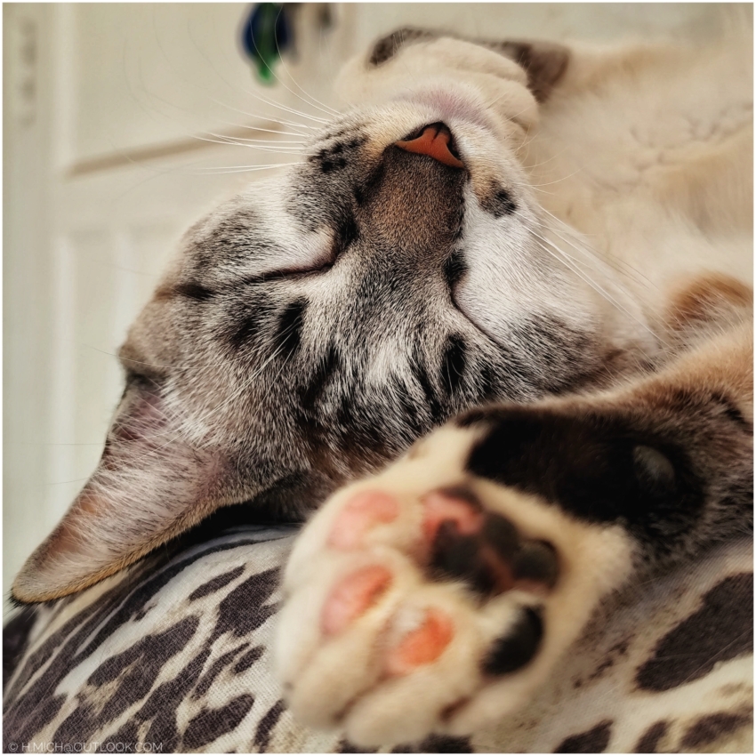 Studio-One.Art.br Repo Fotografia em Rio Preto SP/Brasil