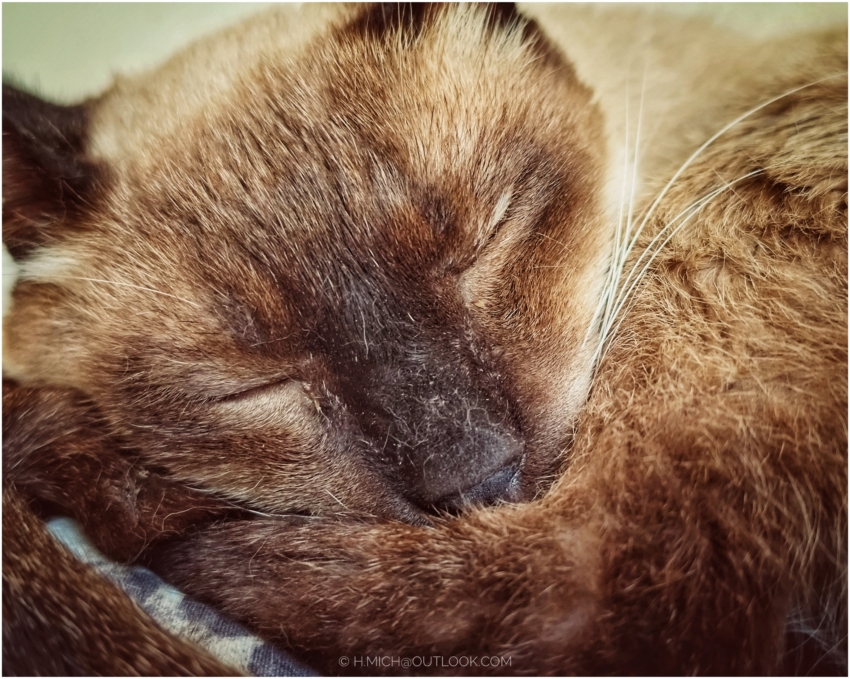 Studio-One.Art.br Repo Fotografia em Rio Preto SP/Brasil