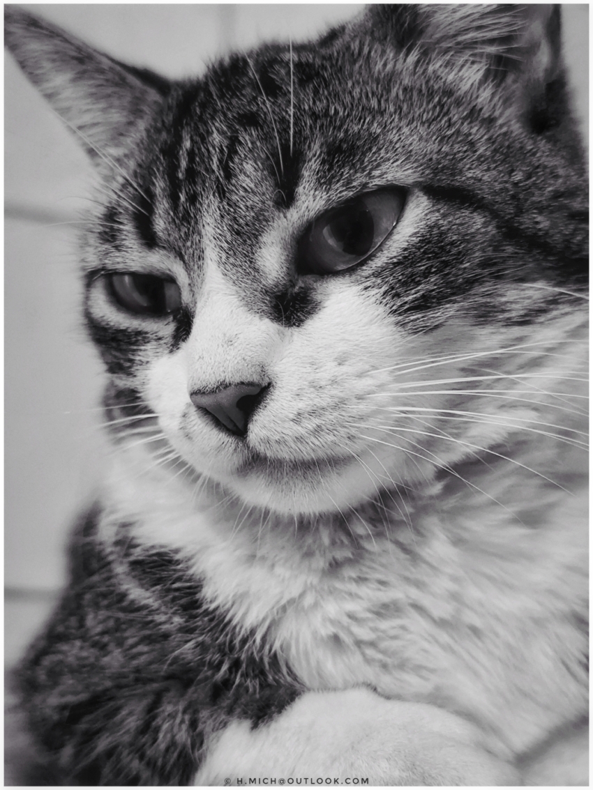 Studio-One.Art.br Repo Fotografia em Rio Preto SP/Brasil