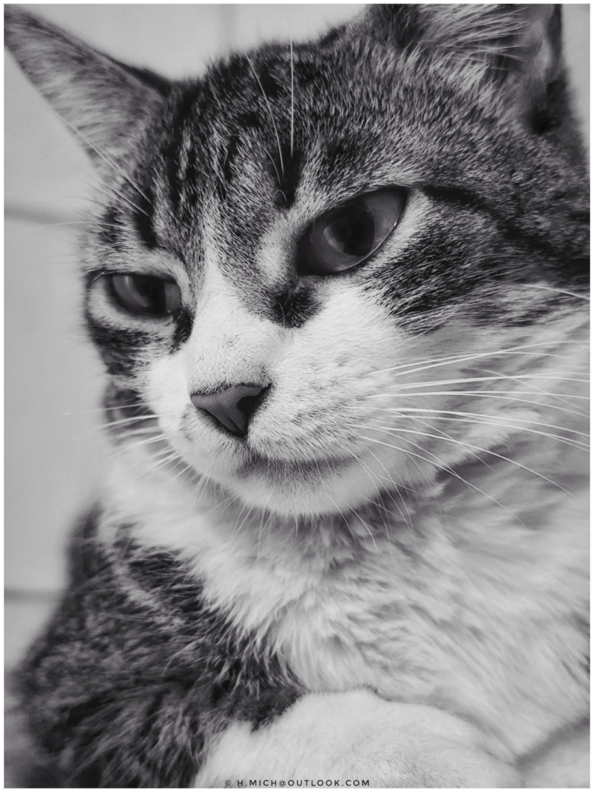 Studio-One.Art.br Repo Fotografia em Rio Preto SP/Brasil