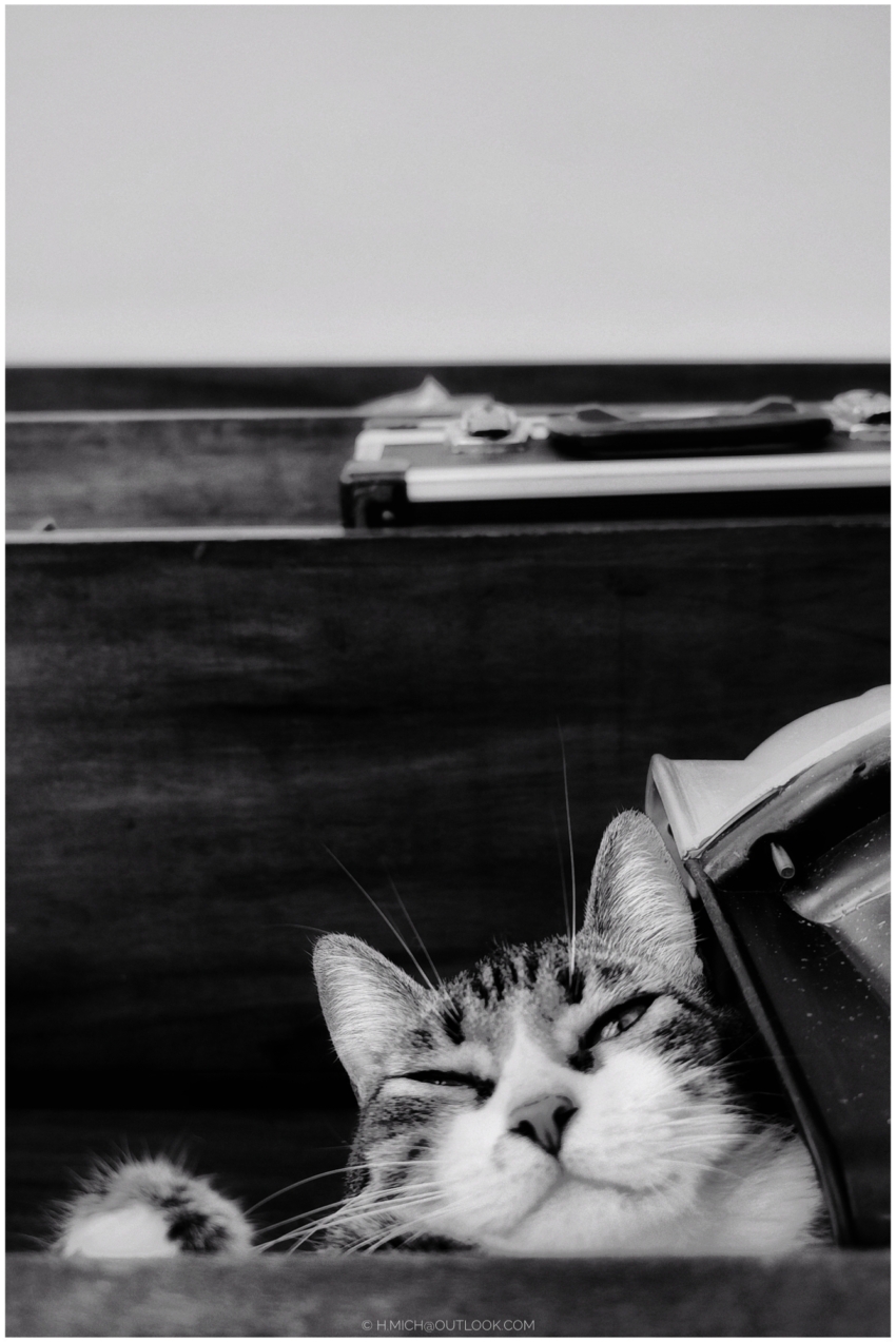 Studio-One.Art.br Repo Fotografia em Rio Preto SP/Brasil