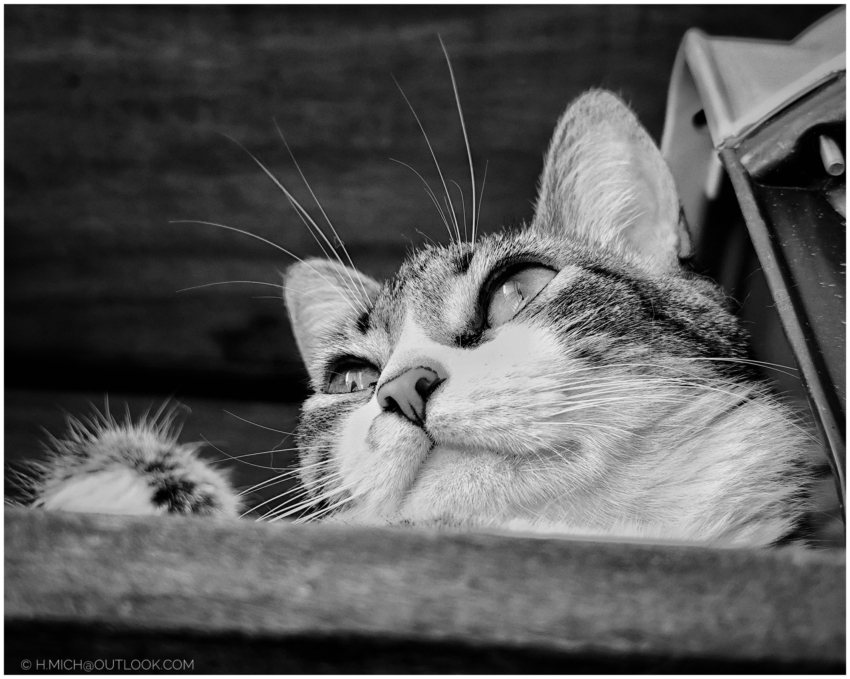 Studio-One.Art.br Repo Fotografia em Rio Preto SP/Brasil