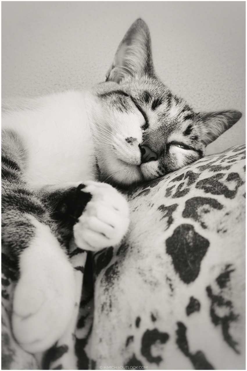 Studio-One.Art.br Repo Fotografia em Rio Preto SP/Brasil