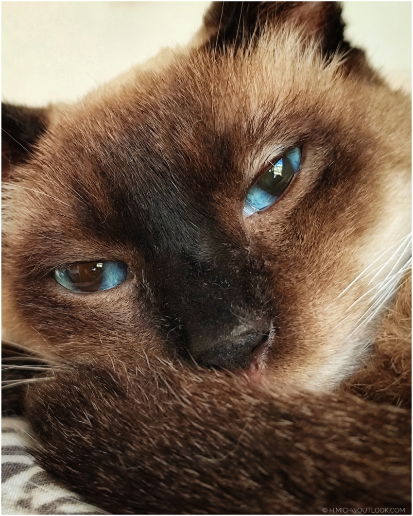 Studio-One.Art.br Repo Fotografia em Rio Preto SP/Brasil