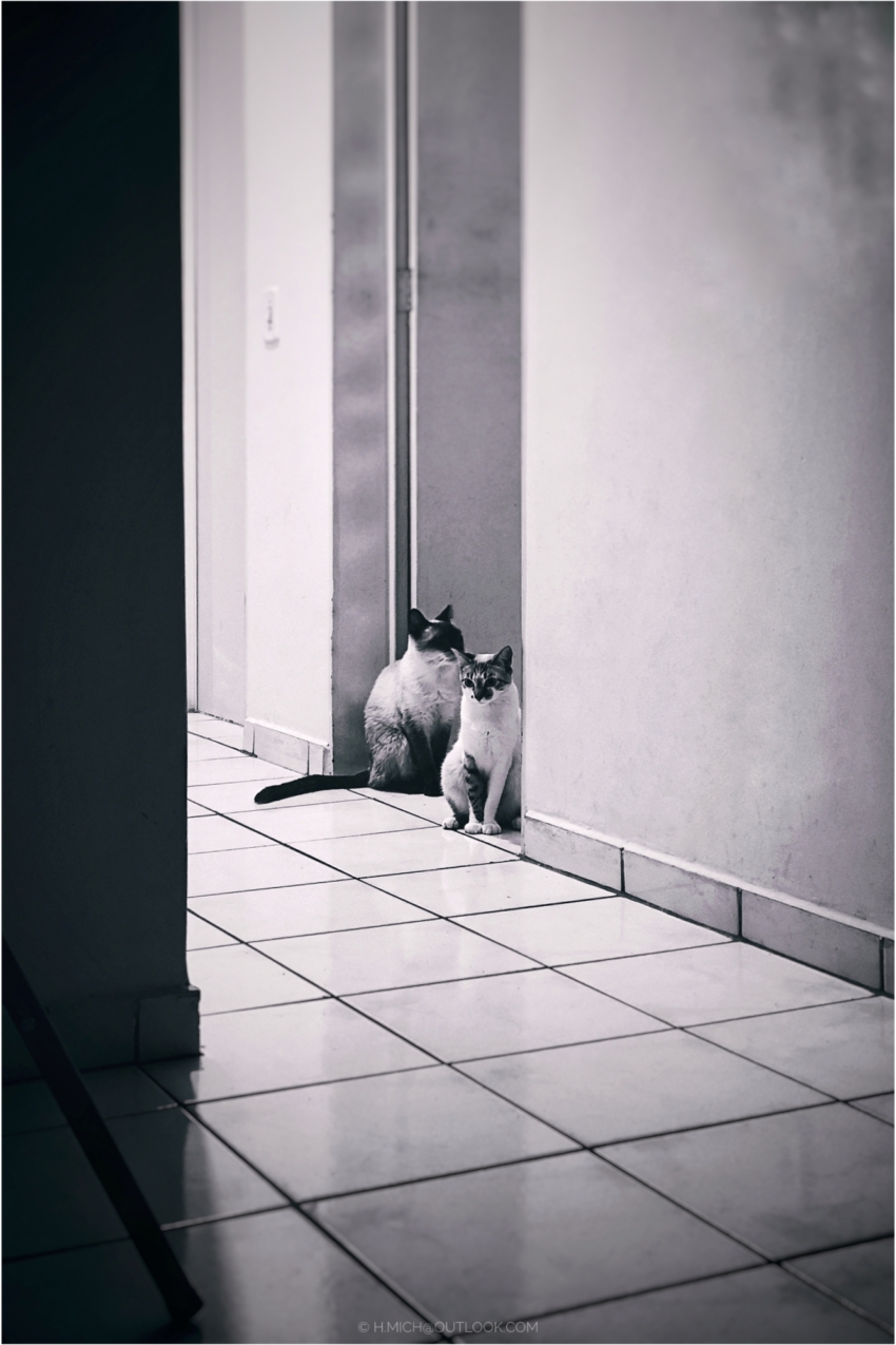 Studio-One.Art.br Repo Fotografia em Rio Preto SP/Brasil