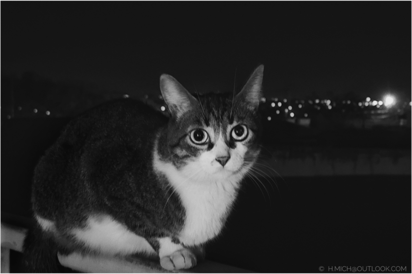 Studio-One.Art.br Repo Fotografia em Rio Preto SP/Brasil