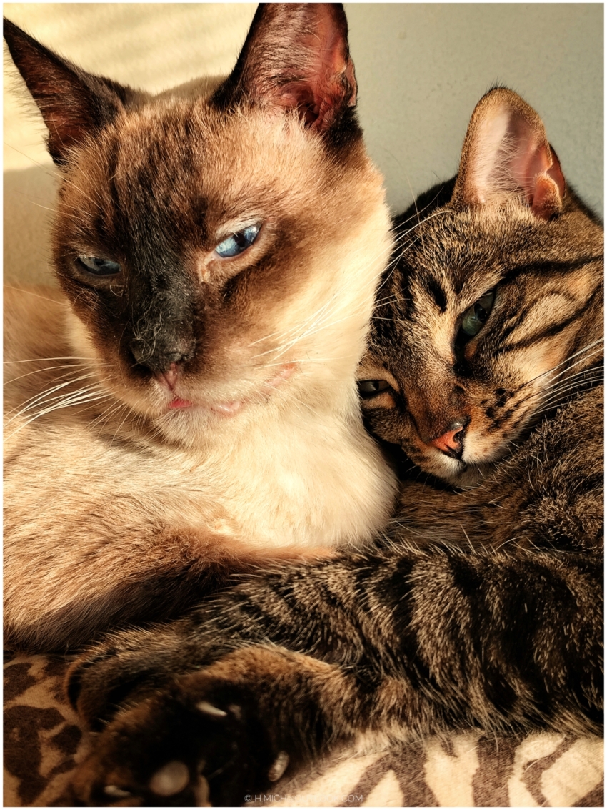 Studio-One.Art.br Repo Fotografia em Rio Preto SP/Brasil