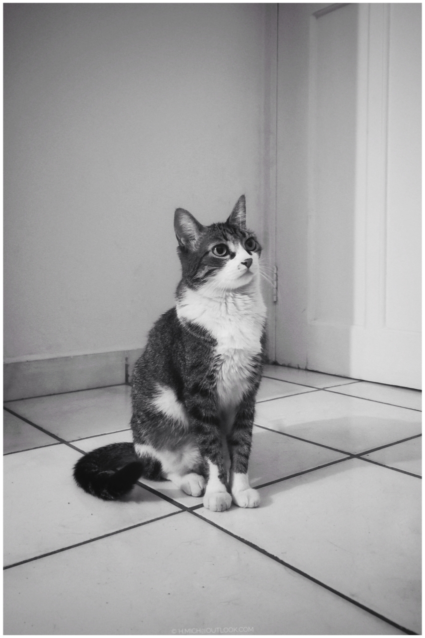 Studio-One.Art.br Repo Fotografia em Rio Preto SP/Brasil