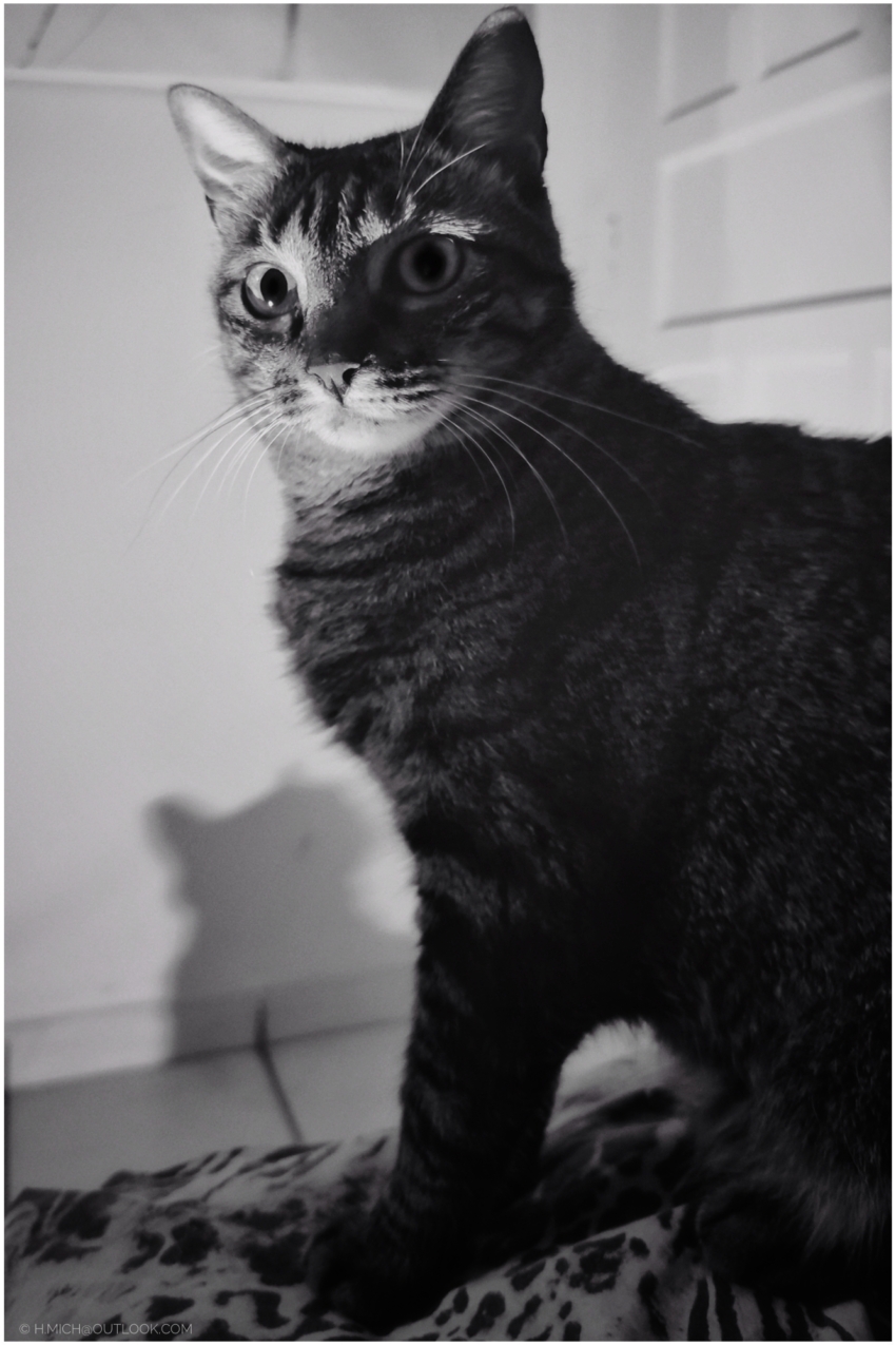 Studio-One.Art.br Repo Fotografia em Rio Preto SP/Brasil