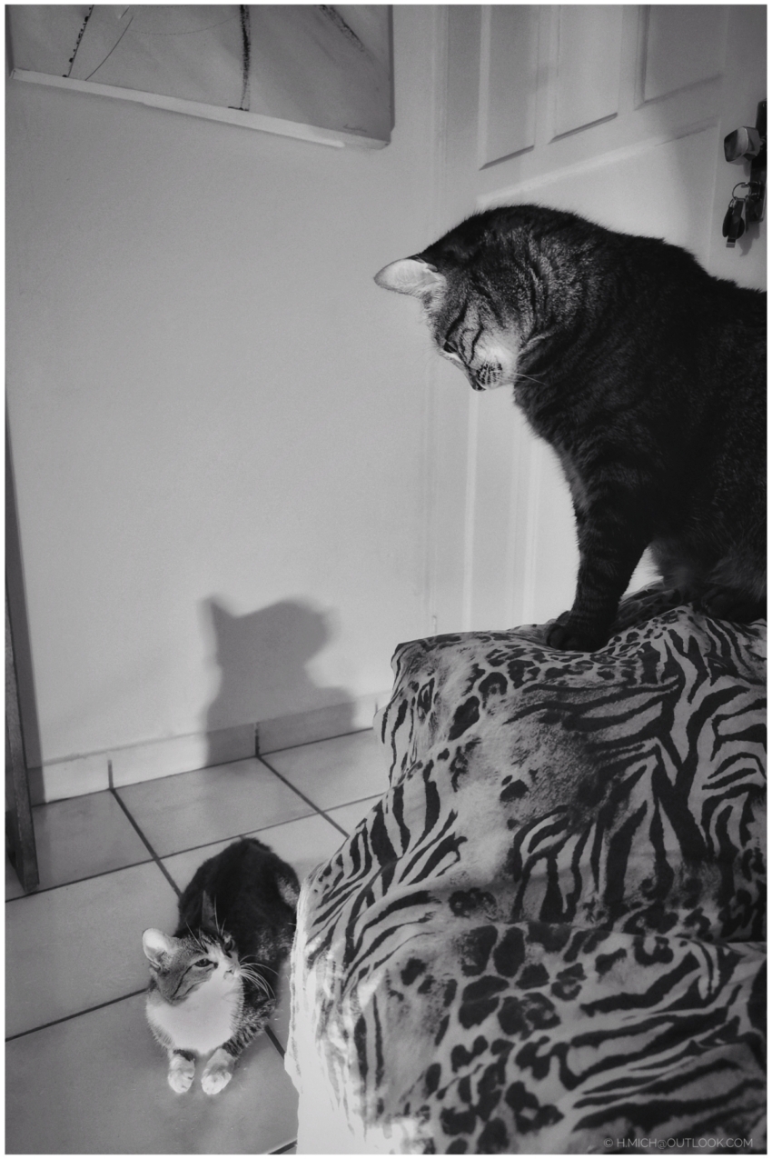 Studio-One.Art.br Repo Fotografia em Rio Preto SP/Brasil