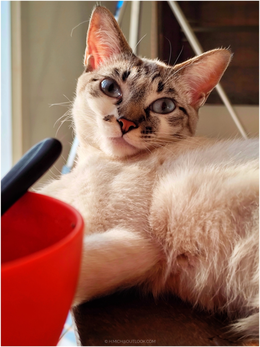 Studio-One.Art.br Repo Fotografia em Rio Preto SP/Brasil