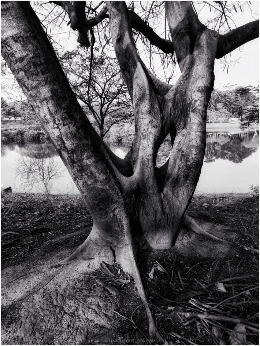 Studio-One.Art.br Repo Fotografia em Rio Preto SP/Brasil